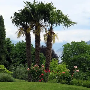 Bellagio View , Oliveto Lario Italien